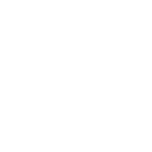 Ribicon
